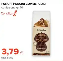 Tigre Consilia funghi porcini commerciali offerta