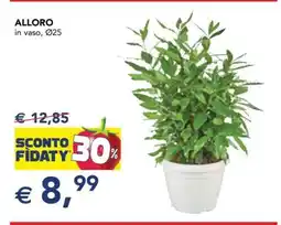 Esselunga ALLORO offerta