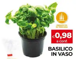 Coop BASILICO IN VASO offerta
