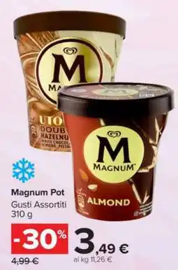 Carrefour Magnum Pot offerta
