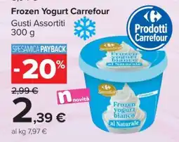 Carrefour Frozen Yogurt Carrefour offerta