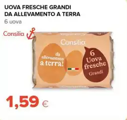 Tigre Consilia uova fresche grandi da allevamento a terra offerta