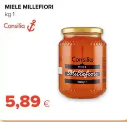 Tigre Consilia miele millefiori offerta