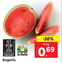 Lidl Anguria offerta