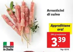 Lidl Arrosticini di suino offerta