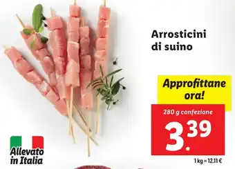 Lidl Arrosticini di suino offerta