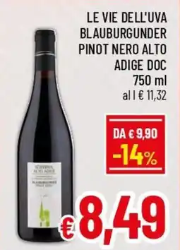 A&O Le vie dell'uva blauburgunder pinot nero alto adige DOC offerta