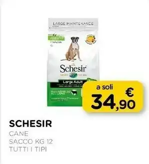Arcaplanet Schesir cane sacco offerta