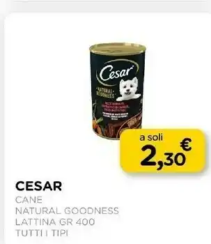 Arcaplanet Cane natural goodness lattina offerta