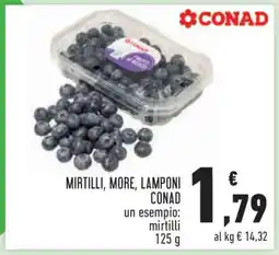 Conad MIRTILLI, MORE, LAMPONI CONAD offerta