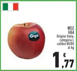 Conad MELE GIGA offerta