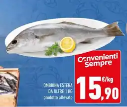 Conad OMBRINA ESTERA offerta