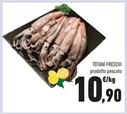 Conad Totani Freschi offerta