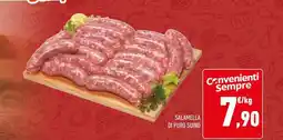 Conad Salamella di puro suino offerta