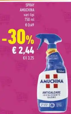 Conad Spray Amuchina offerta