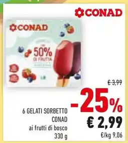 Conad 6 GELATI SORBETTO CONAD offerta