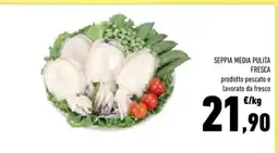 Conad SEPPIA MEDIA PULITA FRESCA offerta