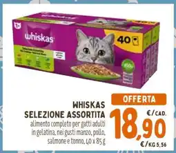 Conad WHISKAS SELEZIONE ASSORTITA offerta