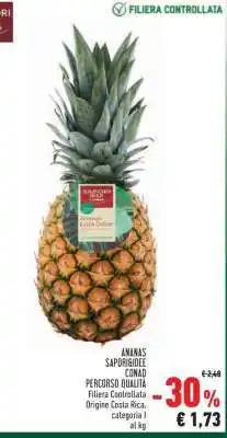 Conad ANANAS SAPORÌ offerta