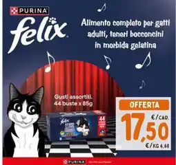 Conad Purina Felix offerta