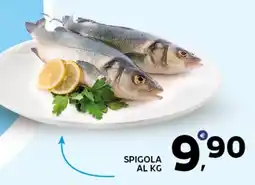 Extra Supermercati Spigola offerta