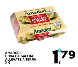 Extra Supermercati Amadori uova da galline allevate a terra offerta