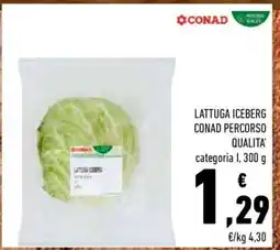 Conad LATTUGA ICEBERG CONAD PERCORSO QUALITÀ offerta