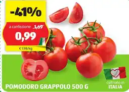 ALDI Pomodoro grappolo offerta