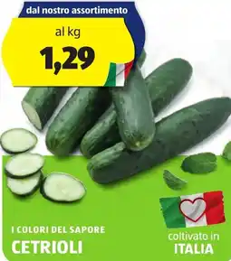 ALDI I colori del sapore cetrioli offerta