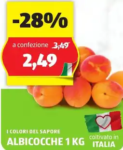 ALDI I colori del sapore albicocche offerta