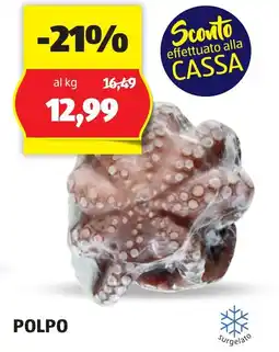 ALDI Polpo offerta