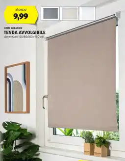 ALDI Home creation tenda avvolgibile offerta