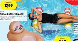 ALDI Crane sdraio galleggiante offerta
