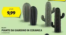 ALDI Belavi piante da giardino in ceramica offerta