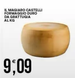 Vantaggio Cash&Carry Il magiaro castelli formaggio duro da grattugia offerta