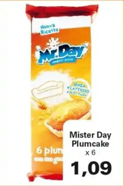 Alvama Mister Day Plumcake offerta