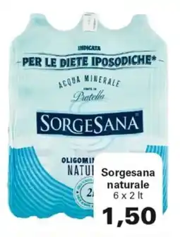 Alvama Sorgesana naturale offerta