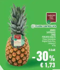 Conad Superstore Ananas SAPORI&IDEE CONAD offerta