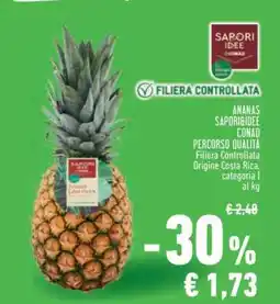 Conad Ananas SAPORI&IDEE offerta