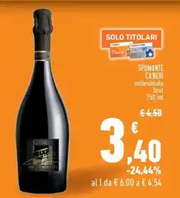 Conad SPUMANTE CA'NERI millesimato brut offerta