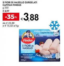 Bennet Capitan findus 5 fiori di nasello surgelati offerta