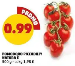 PENNY Pomodoro piccadilly natura è offerta