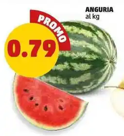 PENNY Anguria offerta