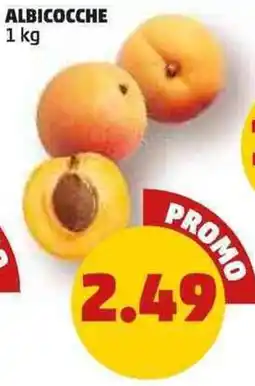 PENNY Albicocche offerta