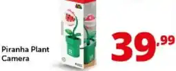 Comet Piranha Plant Camera offerta