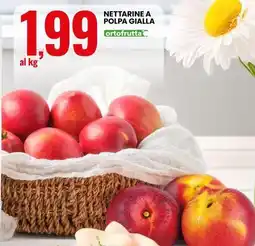 Eurospin Nettarine a polpa gialla ortofrutta offerta