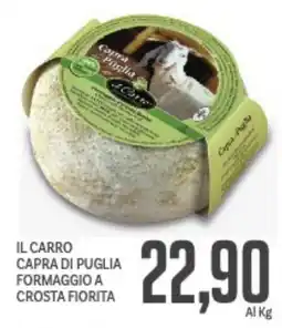 Supermercati Piccolo Il carro capra di puglia formaggio a crosta fiorita offerta