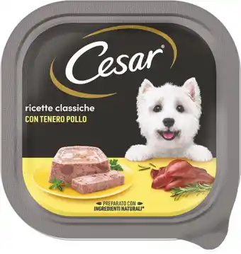 MD Discount PATÈ PER CANE offerta