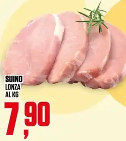Coop Suino lonza offerta