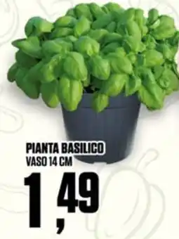 Coop Pianta basilico offerta